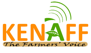 Logo Kenaff