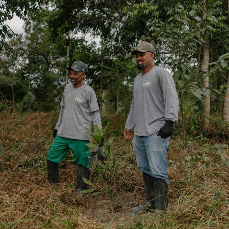 Two forest restoration workers in the Atlantic Forest in Bahia. 