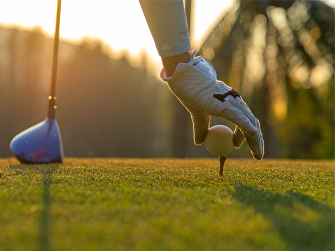 Gros plan sur la main gantée d'un golfeur plaçant une balle de golf sur un tee, avec un driver de golf bleu en arrière-plan sur un terrain de golf verdoyant et ensoleillé à l'heure dorée.