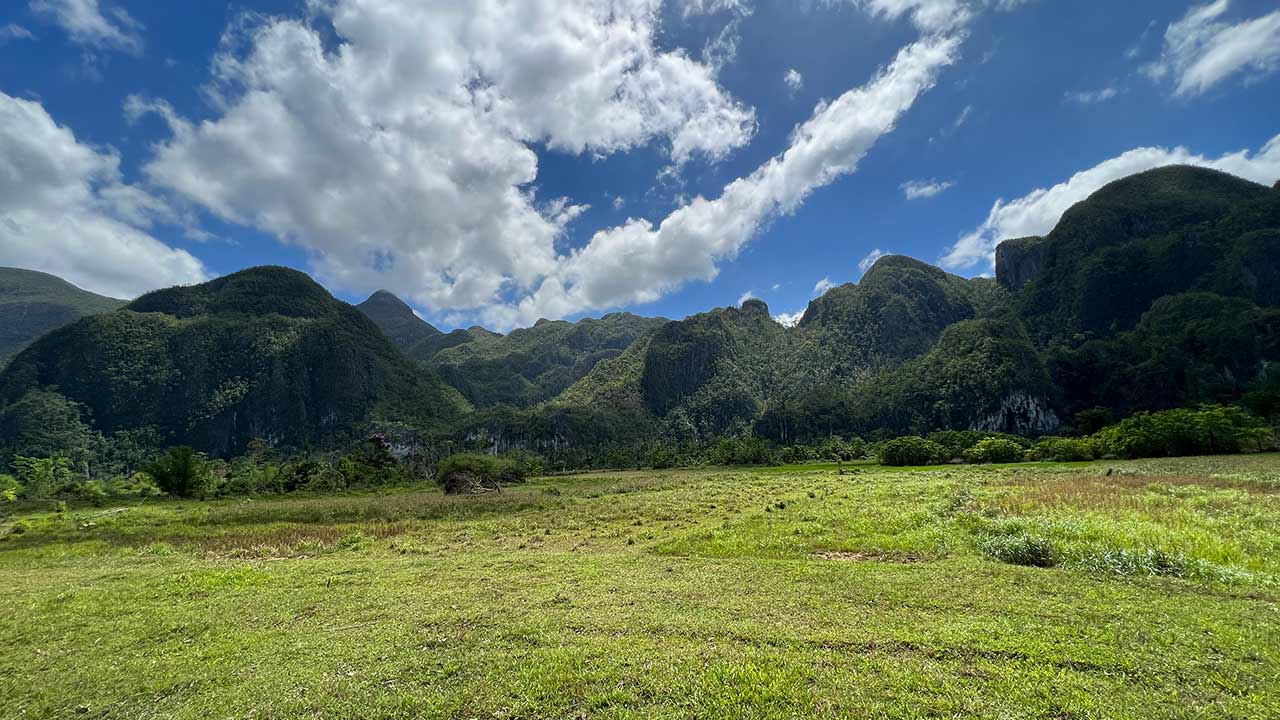 Parc national de Puerto Princesa, Philippines.
