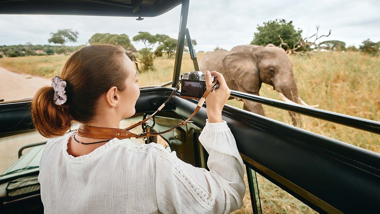 Woman on safari photographing elephant.