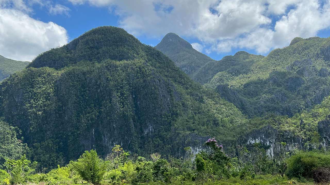Magnifique vue sur les montagnes verdoyantes des Philippines.