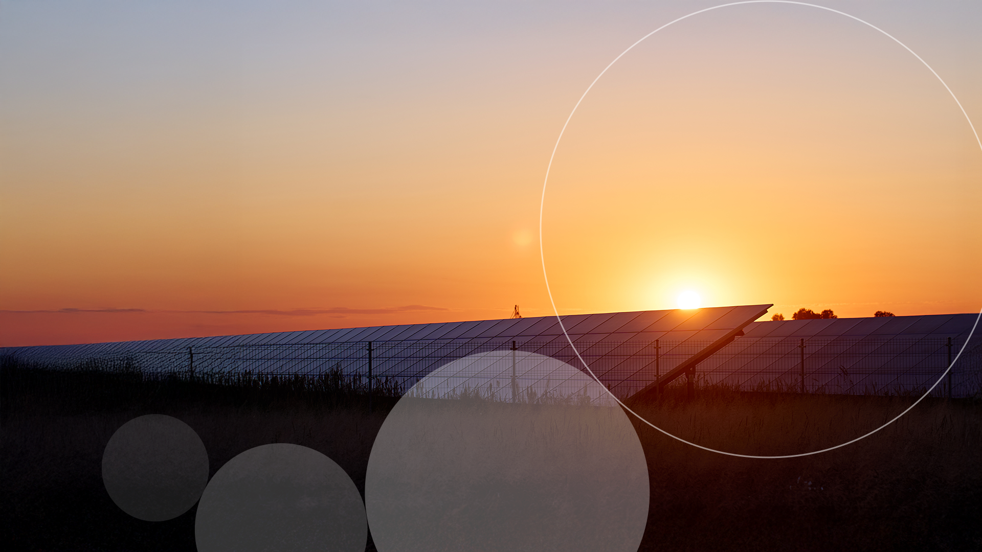 Paneles solares al atardecer