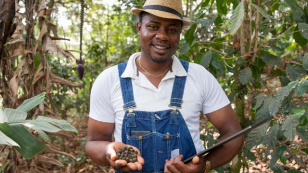 A man in a straw fedora and overalls holds seeds and a tablet in a forest. 