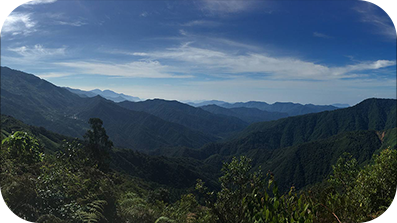 منظر طبيعي للتلال المغطاة بالغابات الكثيفة.