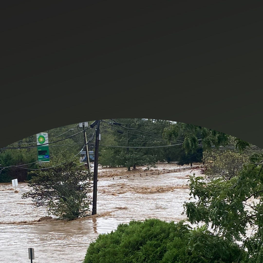 Agua de inundación que sumerge parcialmente árboles y señales de la calle.