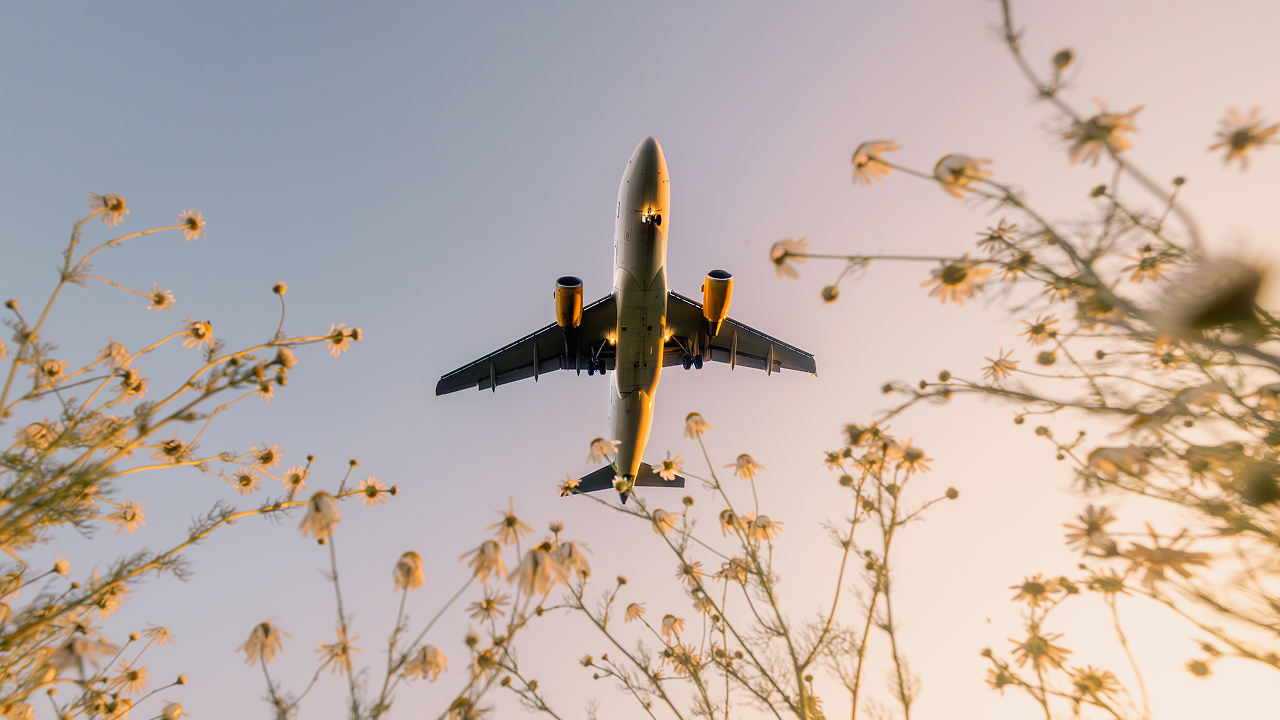Airplane in the sky