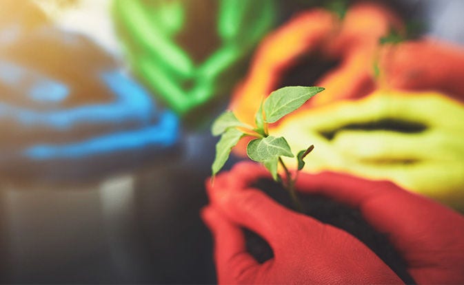 Una mano sosteniendo una planta pequeña, verde y frondosa.
