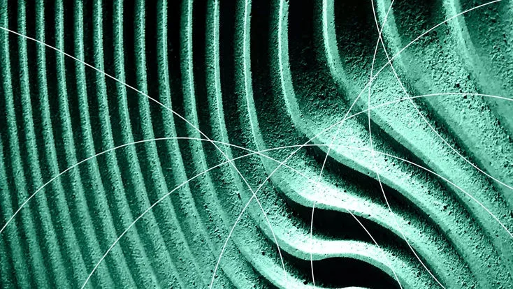 Leaf texture
