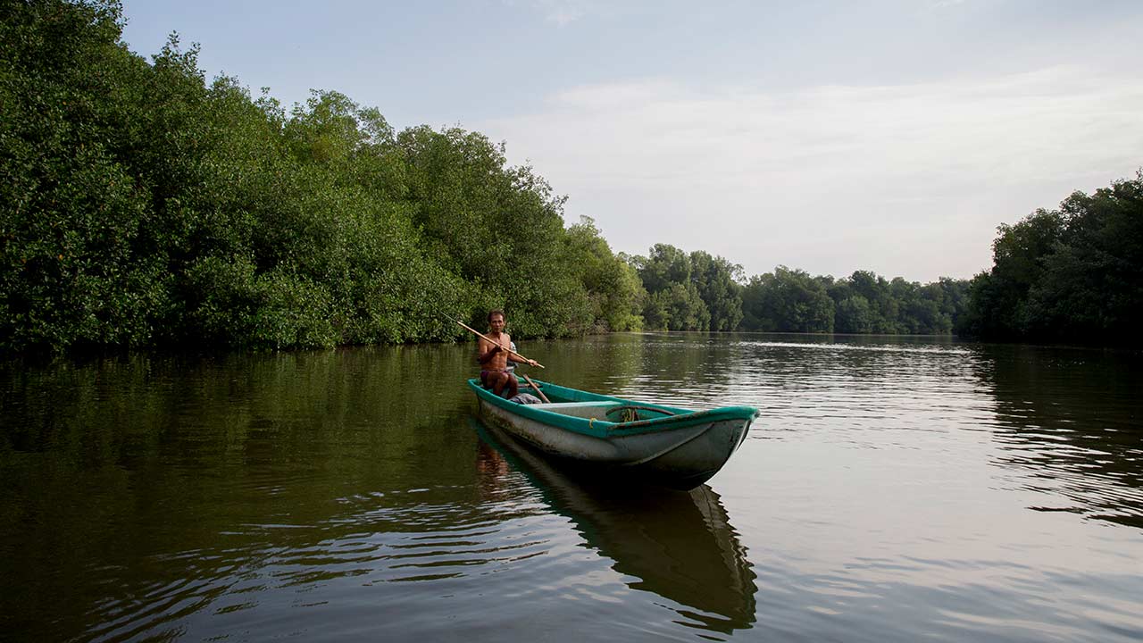 Zone de conservation, un homme ramant un bateau, au Mexique