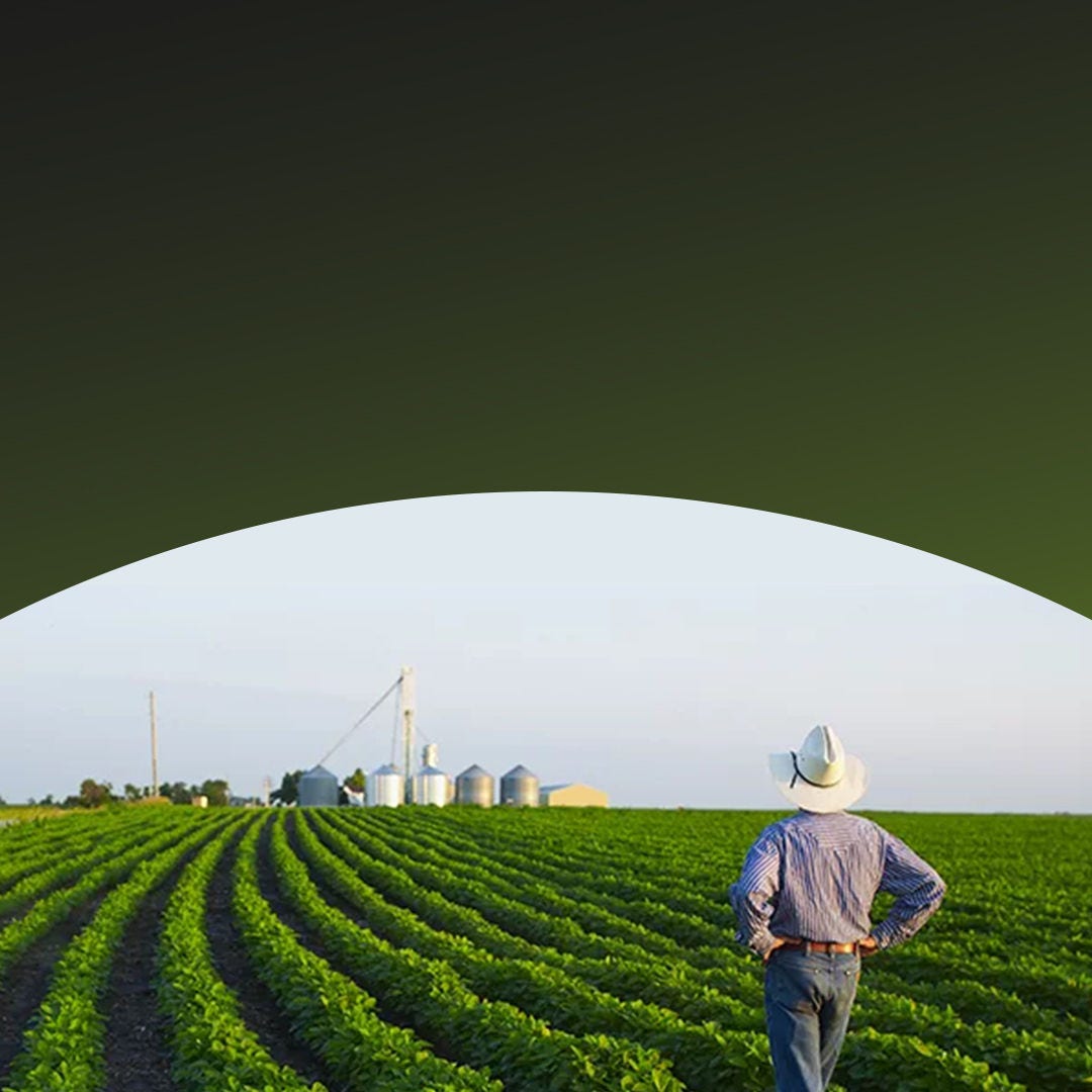 Un granjero con sombrero de vaquero está de pie en un campo de un verde vibrante.