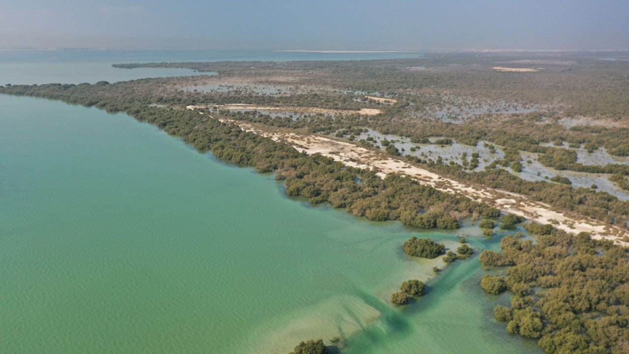 La côte de l'UEA, vue d'en haut.