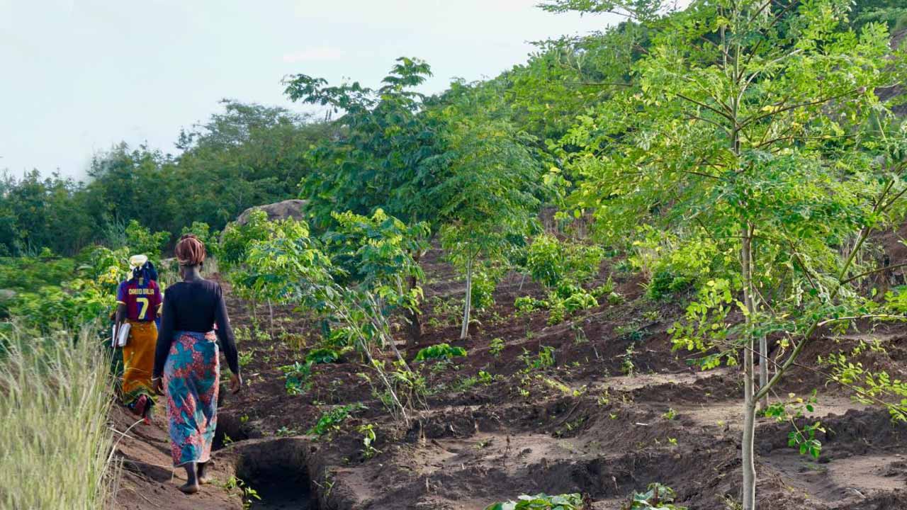 Deux femmes se promenant dans un verger